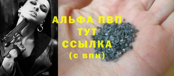 прущие крисы Белокуриха