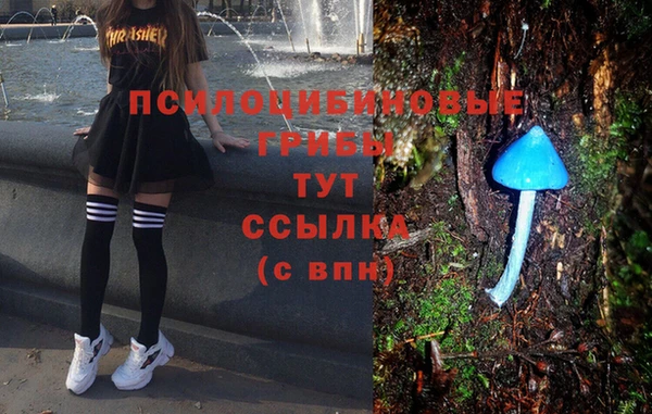 MDMA Беломорск
