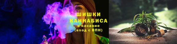 прущие крисы Белокуриха