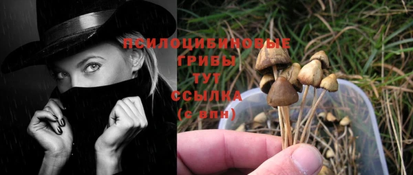 MDMA Беломорск